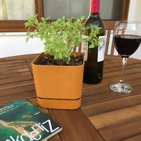 Katya's Hébergement de vacances *